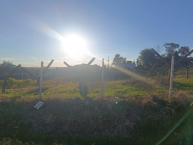Terreno rural com 110.416,00m², localizado em Floriano Peixoto - RS