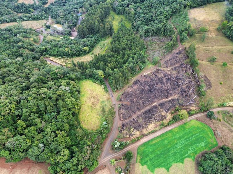Terreno rural com área de 99.498,33 m², localizado em Jaborá - SC