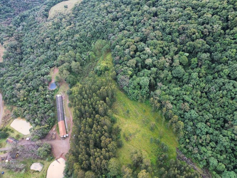 Terreno rural com área de 99.498,33 m², localizado em Jaborá - SC
