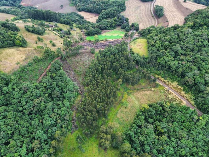 Terreno rural com área de 99.498,33 m², localizado em Jaborá - SC