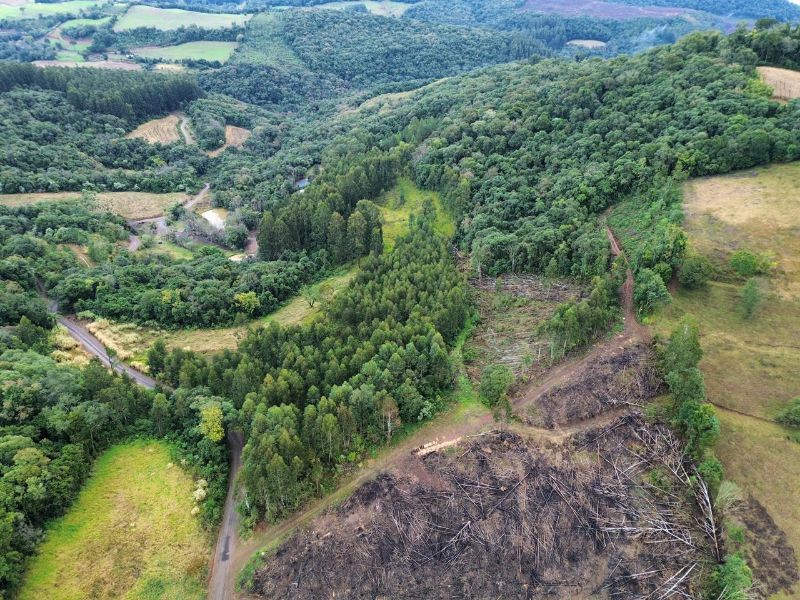 Terreno rural com área de 99.498,33 m², localizado em Jaborá - SC