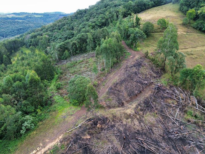 Terreno rural com área de 99.498,33 m², localizado em Jaborá - SC