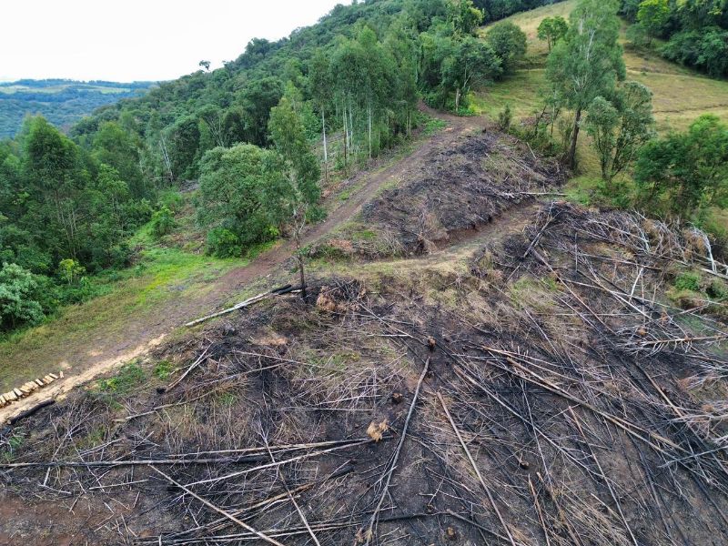 Terreno rural com área de 99.498,33 m², localizado em Jaborá - SC