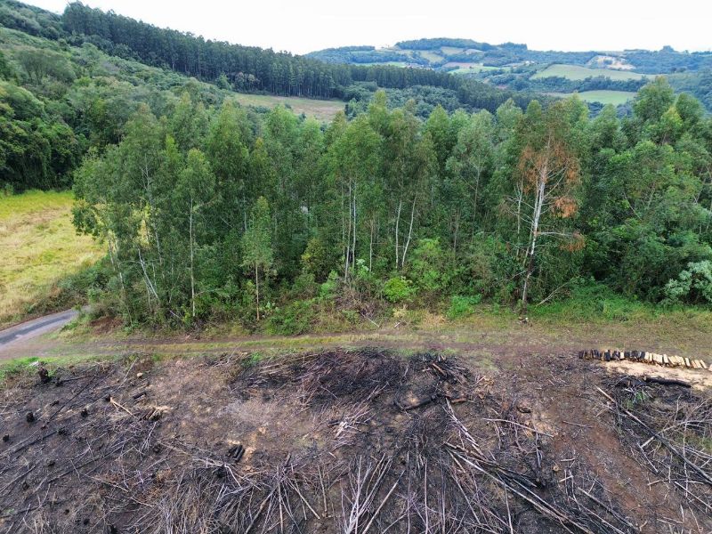 Terreno rural com área de 99.498,33 m², localizado em Jaborá - SC