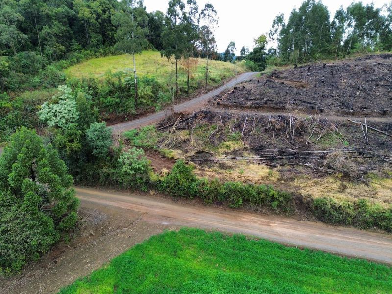 Terreno rural com área de 99.498,33 m², localizado em Jaborá - SC