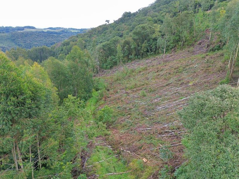 Terreno rural com área de 99.498,33 m², localizado em Jaborá - SC