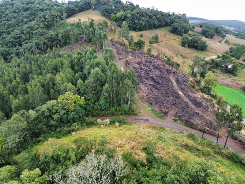 Terreno rural com área de 99.498,33 m², localizado em Jaborá - SC