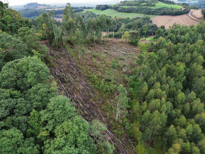 Terreno rural com área de 99.498,33 m², localizado em Jaborá - SC