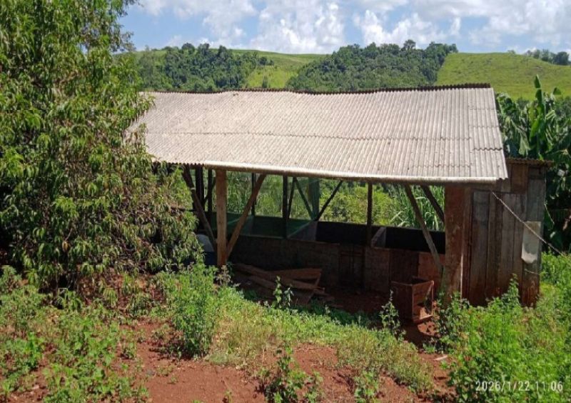 Terreno rural com 23.305m², localizado em Iporã Do Oeste - SC