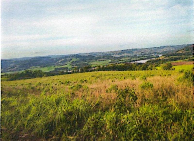 Área rural com 46.000,00m², localizado em Caiçara - RS