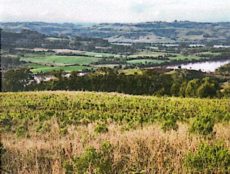 Área rural com 46.000,00m², localizado em Caiçara - RS