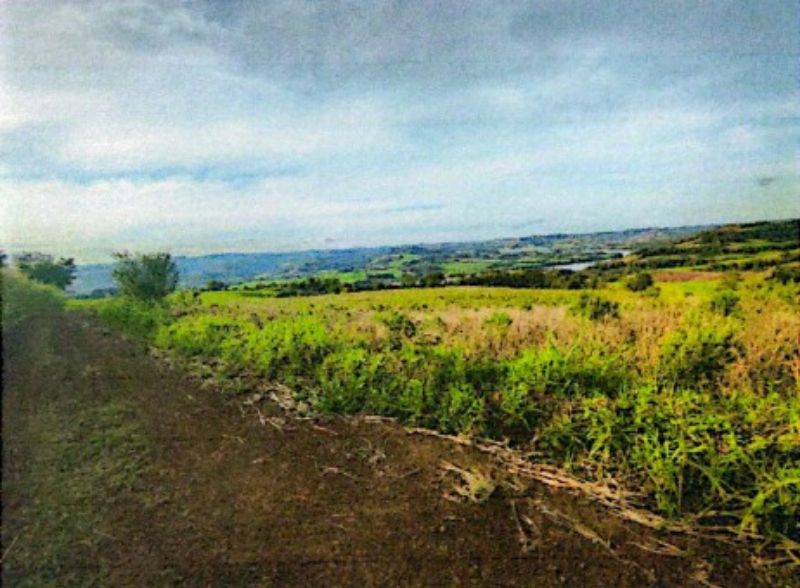 Área rural com 46.000,00m², localizado em Caiçara - RS