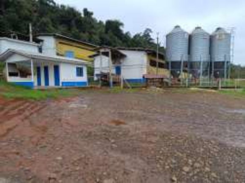 Área rural com 125.000m² Linha Uvá, localizado em Itá - SC