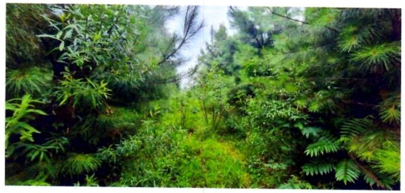 Terreno rural com área de 362.140m², localizado em Matos Costa - SC