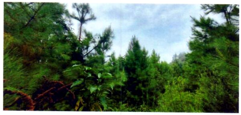 Terreno rural com área de 362.140m², localizado em Matos Costa - SC