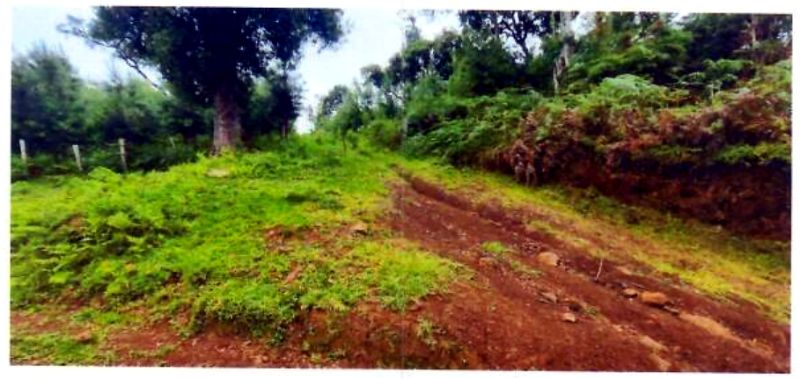 Terreno rural com área de 362.140m², localizado em Matos Costa - SC