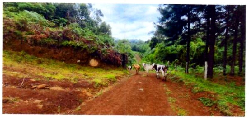 Terreno rural com área de 362.140m², localizado em Matos Costa - SC