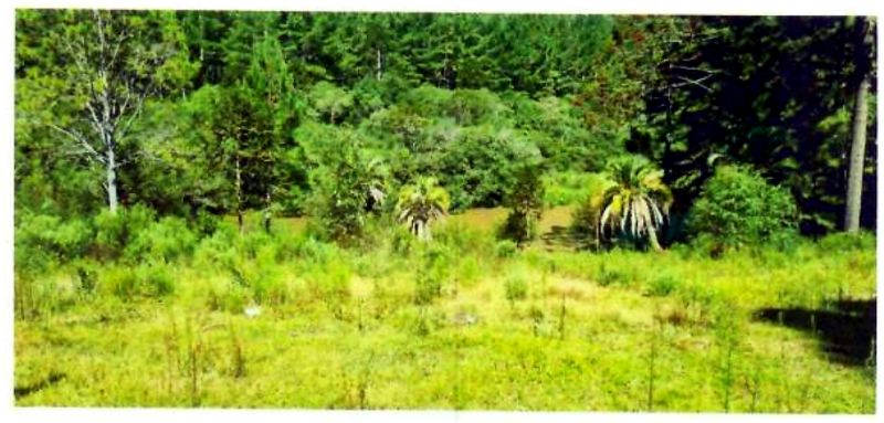 Terreno com área de 47.270,00m², localizado em Matos Costa - SC