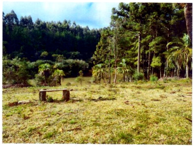 Terreno com área de 47.270,00m², localizado em Matos Costa - SC