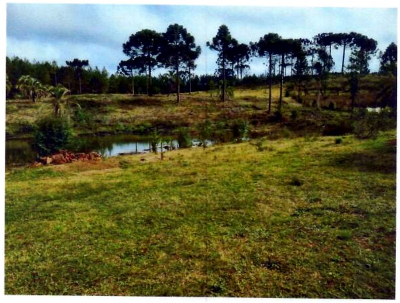 Terreno com área de 47.270,00m², localizado em Matos Costa - SC