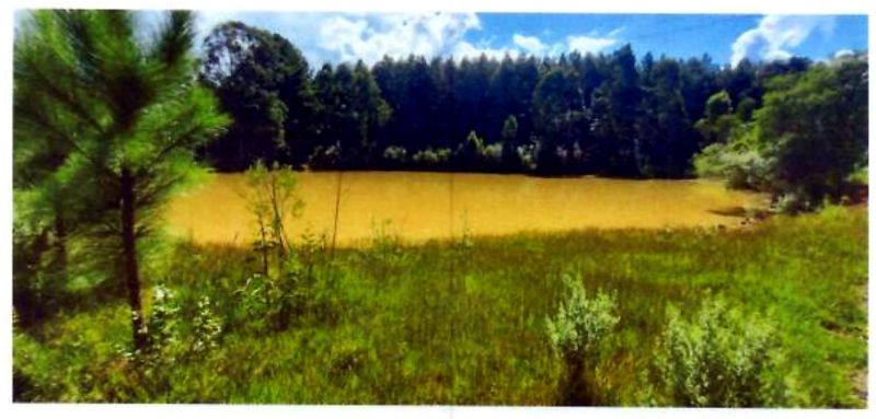 Terreno com área de 47.270,00m², localizado em Matos Costa - SC