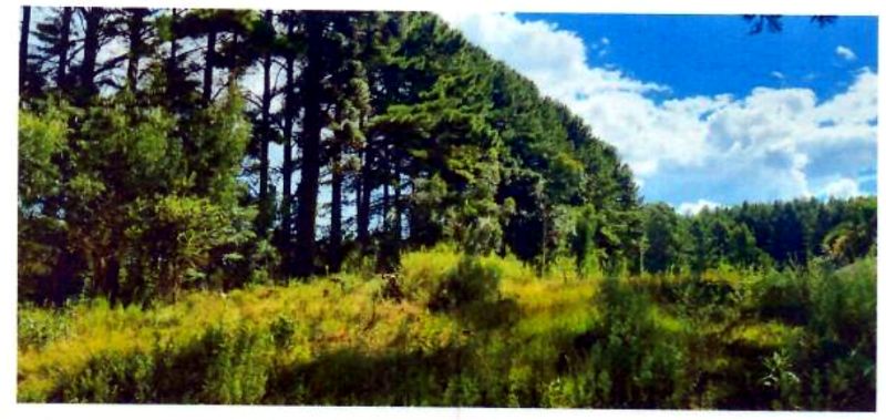 Terreno com área de 47.270,00m², localizado em Matos Costa - SC