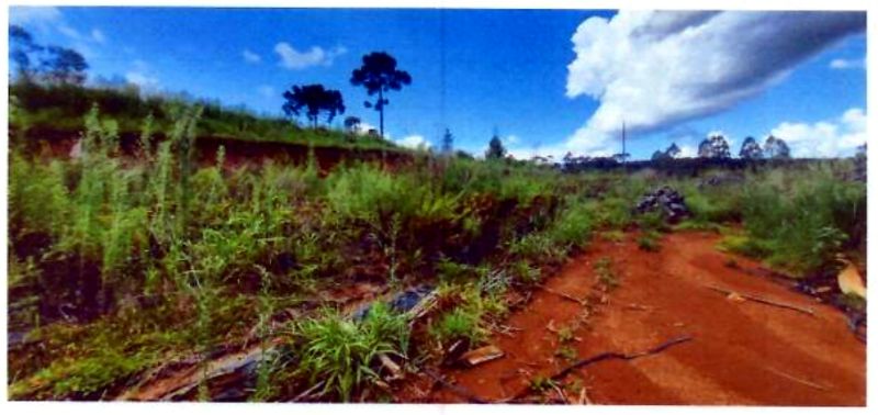 Terreno rural com área de 74.600,00m², localizado em Matos Costa - SC