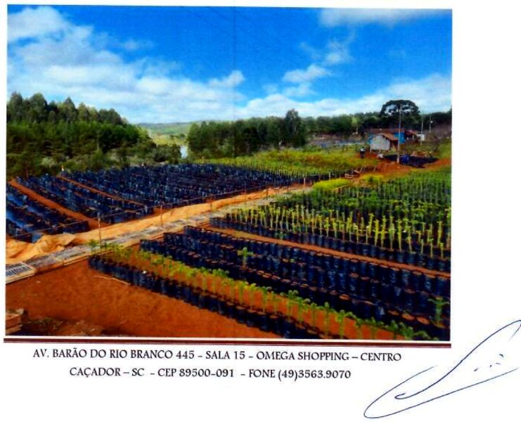 Terreno rural com área de 74.600,00m², localizado em Matos Costa - SC