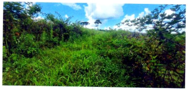 Terreno rural com área de 74.600,00m², localizado em Matos Costa - SC