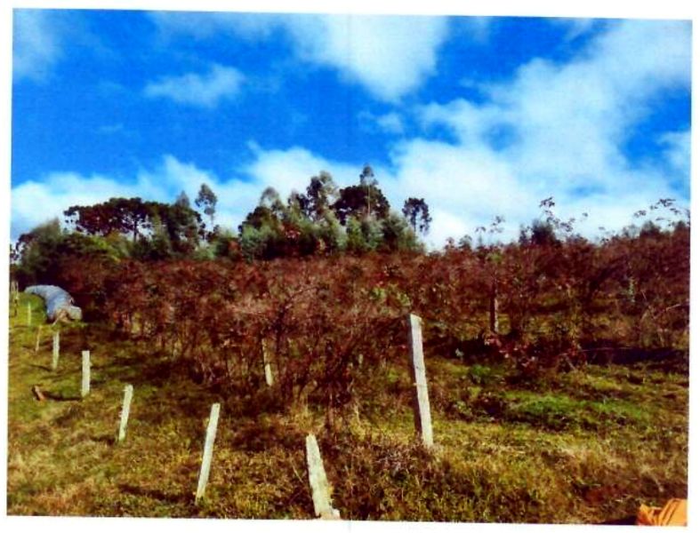 Terreno rural com área de 74.600,00m², localizado em Matos Costa - SC
