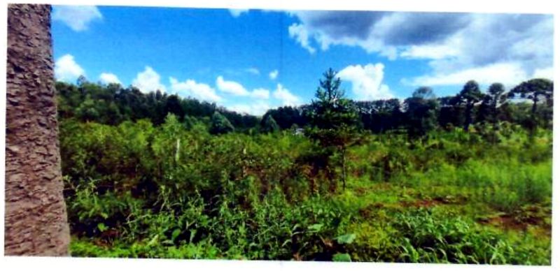 Terreno rural com área de 74.600,00m², localizado em Matos Costa - SC