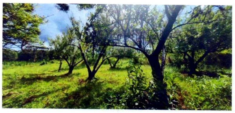 Terreno rural com área de 74.600,00m², localizado em Matos Costa - SC