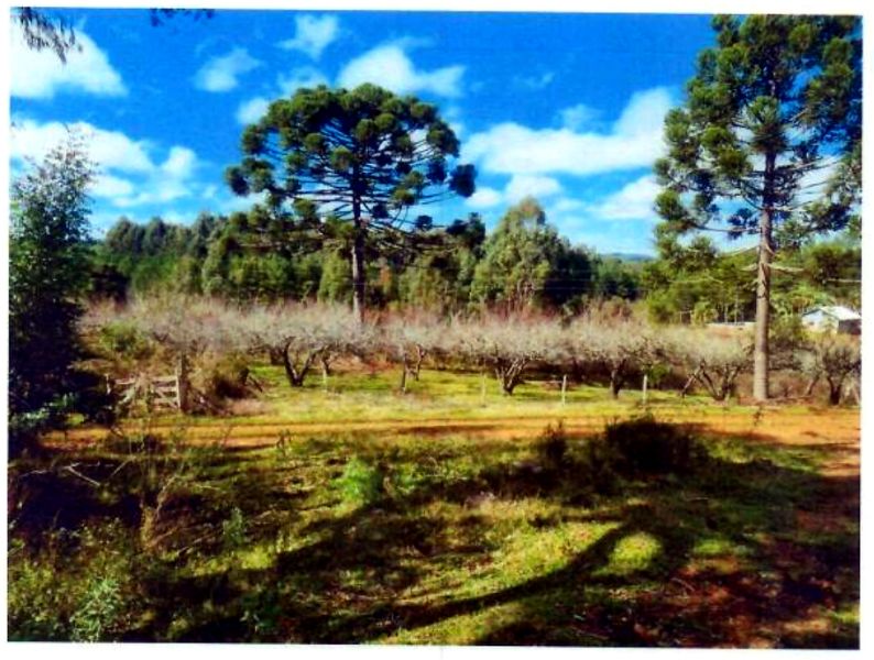 Terreno rural com área de 74.600,00m², localizado em Matos Costa - SC
