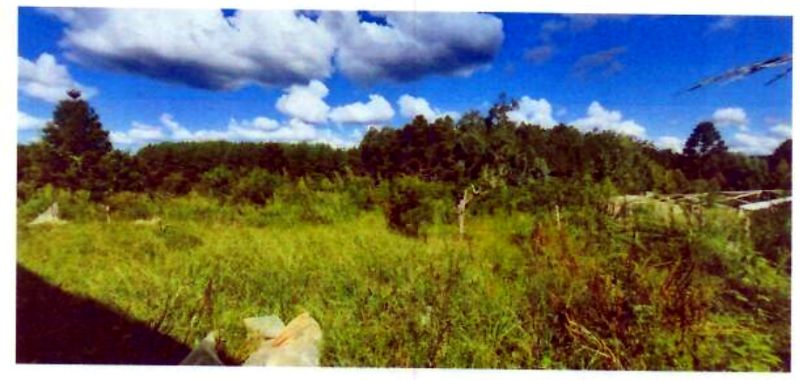 Terreno rural com área de 74.600,00m², localizado em Matos Costa - SC