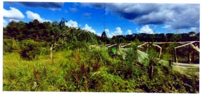 Terreno rural com área de 74.600,00m², localizado em Matos Costa - SC