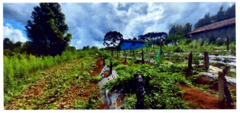 Terreno rural com área de 74.600,00m², localizado em Matos Costa - SC