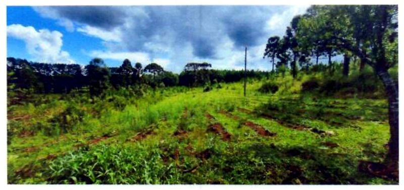 Terreno rural com área de 74.600,00m², localizado em Matos Costa - SC