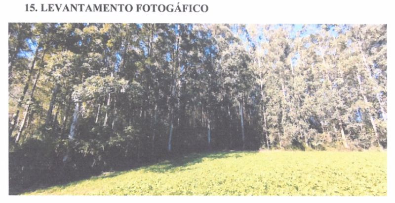 Terreno Rural com área de 65.382,30 m², localizado em Arabutã - SC