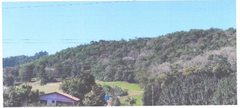 Terreno Rural com área de 65.382,30 m², localizado em Arabutã - SC