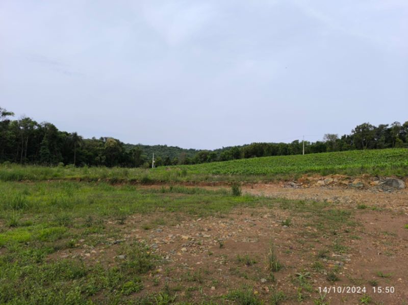 Terreno Rural com área de 3.000,00m², localizado em Concórdia - SC