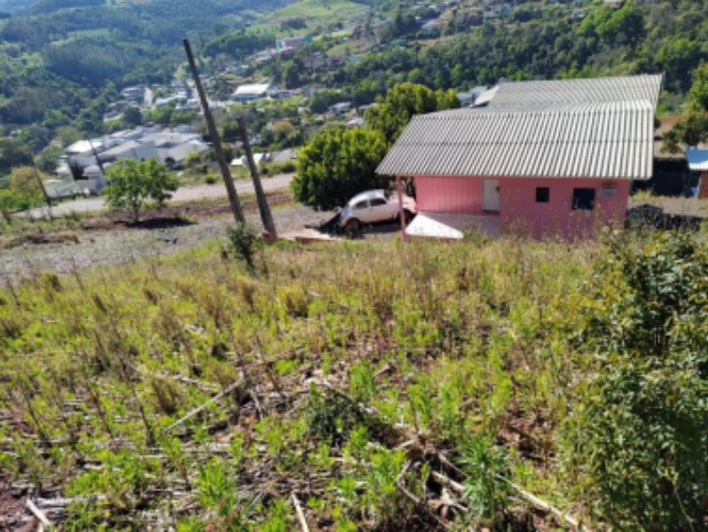 Foto de Imóvel em Arvoredo (SC)