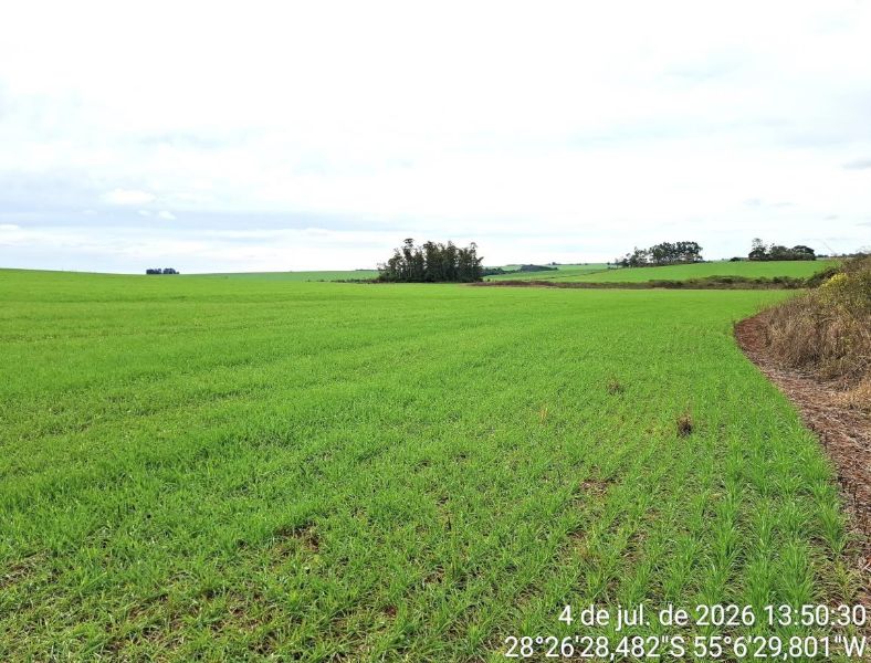 Terreno Rural com 120.000m², localizado em São Luiz Gonzaga - RS