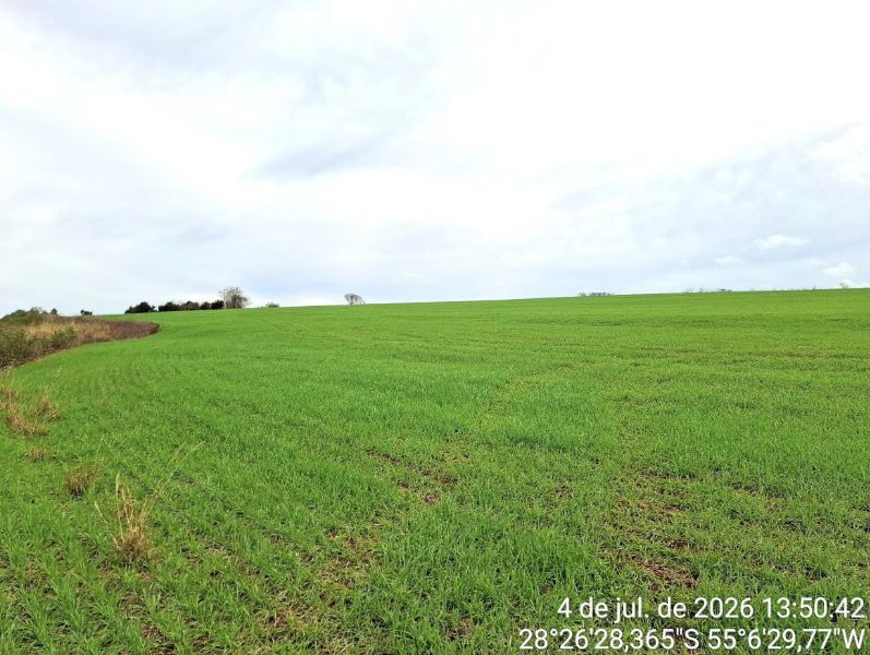 Terreno Rural com 120.000m², localizado em São Luiz Gonzaga - RS