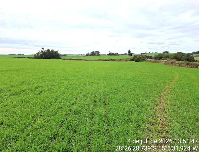 Terreno Rural com 120.000m², localizado em São Luiz Gonzaga - RS