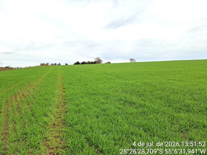 Terreno Rural com 120.000m², localizado em São Luiz Gonzaga - RS