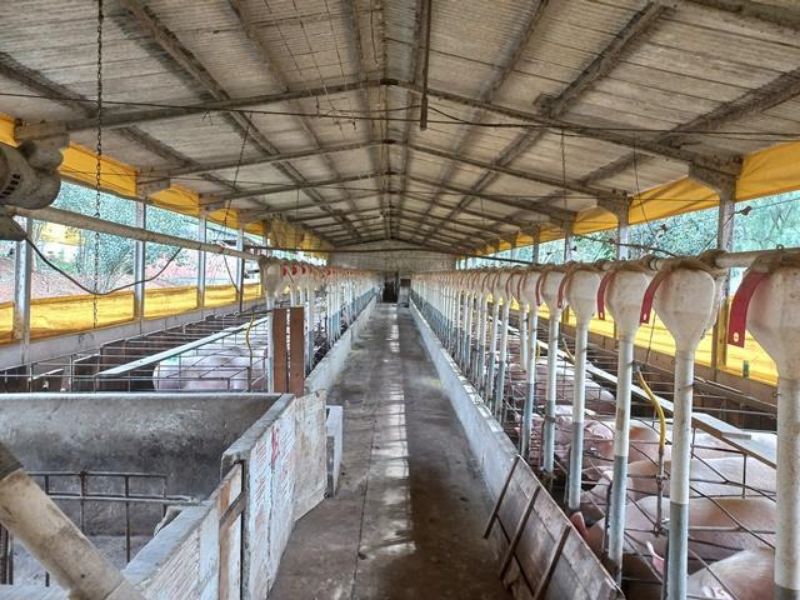 Terreno com 101.534,30m² com edificações, localizado em Concórdia - SC
