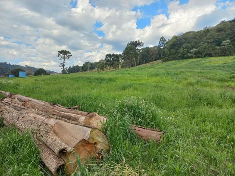 Terreno com 101.534,30m² com edificações, localizado em Concórdia - SC