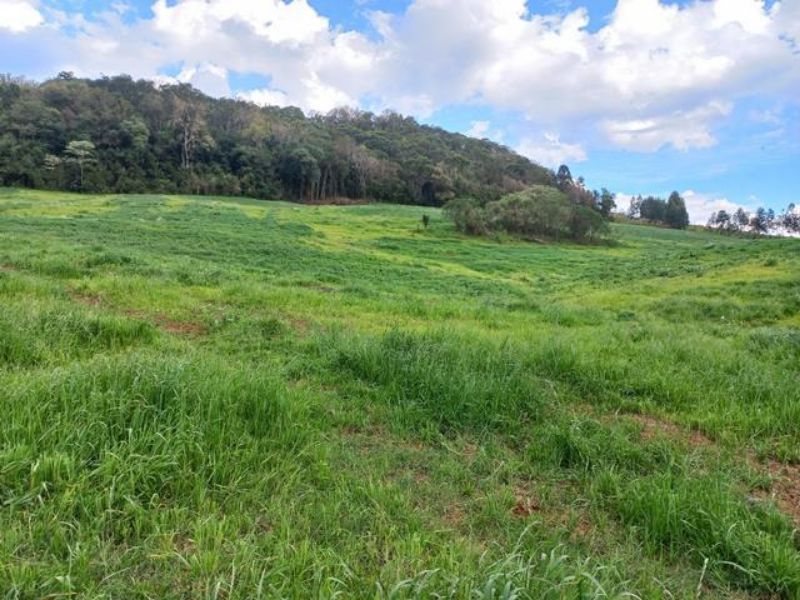 Terreno com 101.534,30m² com edificações, localizado em Concórdia - SC