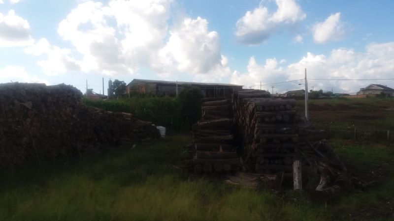 Terreno Com 5000m² mais edificações, localizado em Ponte Serrada - SC, bairro Baia Alta