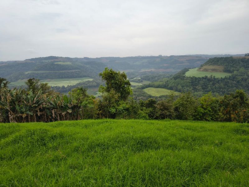 Fração ideal com 113.500m², localizado em Vista Alegre - RS